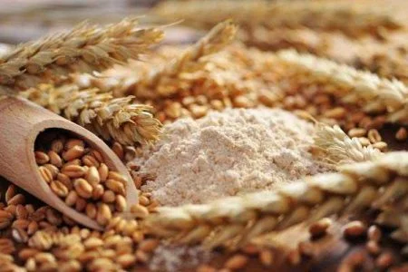 چگونه جوانه گندم درست کنیم
