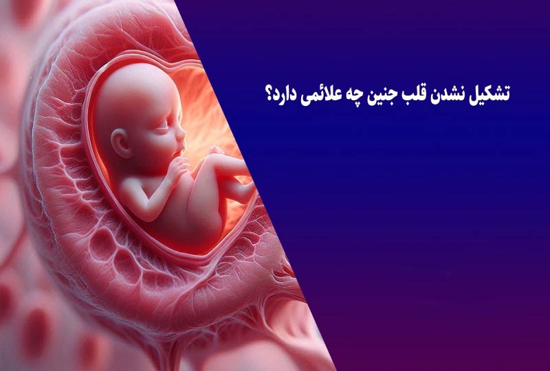 چه چیزهایی باعث تشکیل نشدن قلب جنین میشود؟