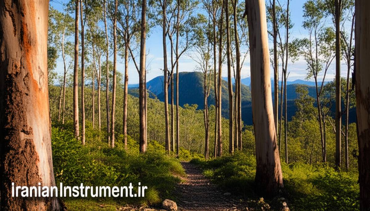مسیر های طبیعت گردی بریزبن