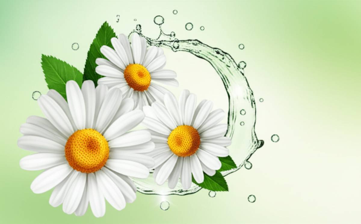 ویژگی های کلیدی محلول کامیلوگل گل دارو