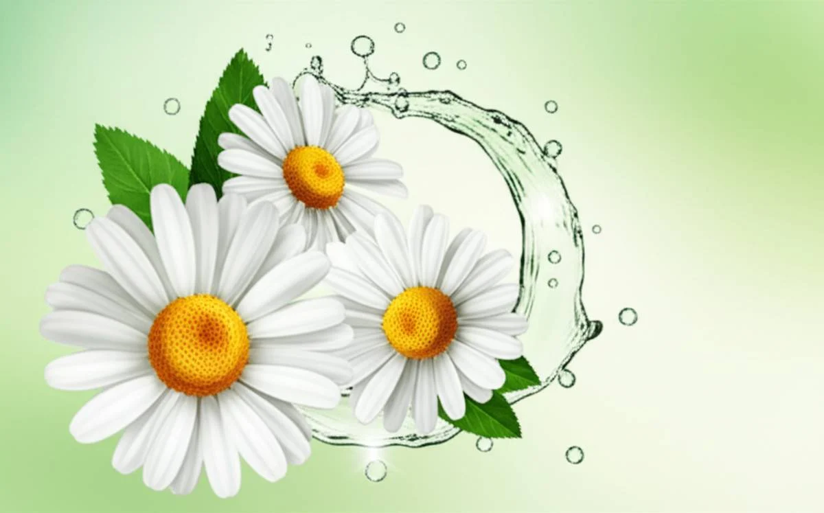 ویژگی های کلیدی محلول کامیلوگل گل دارو